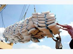 Vietnam’s rice exports on sharp fall
