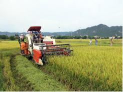 VN agricultural sector urged to modernise technology