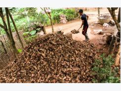 Ba Vì đột phá bằng nông sản chủ lực
