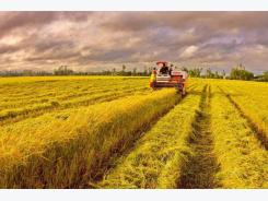Changes needed to ensure sustainable agriculture