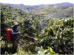 Insiders talk climate, integration-adapted coffee industry