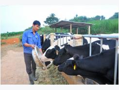 Minh bạch khái niệm sữa có lợi cho cả nông dân và ngành sữa