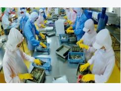 Shrimp exports expected to reach US$5 billion by 2020