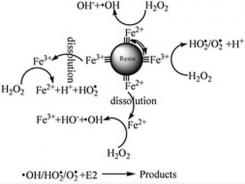 Truly Cleaning Your Hydroponic System : The Fenton Process and Chemistry