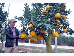 Kiến thức “vàng” giúp nông dân bảo vệ cây, con hiệu quả