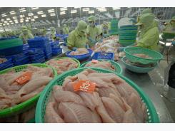 Đề nghị đánh giá tương đương sản phẩm cá tra Việt Nam
