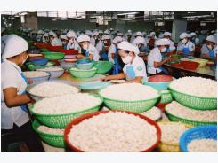 Cashew exports edge down