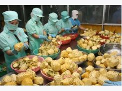 Canada to help boost VN’s food hygiene