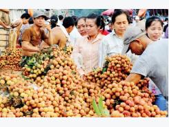Fruit, veggie exports overtaking rice
