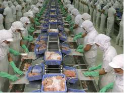 Pangasius exports to the US declined