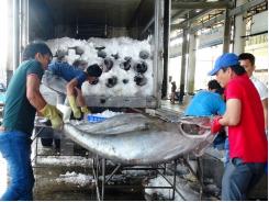 Nearly VND165 billion for fisheries restructuring in 2017-2020
