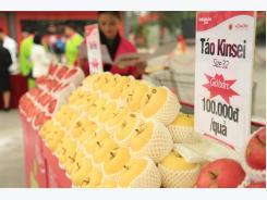 Viet Nam’s vegetable imports up 55%