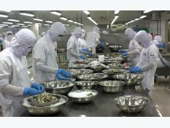 Recovery in shrimp exports to Japan and EU