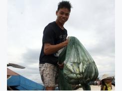 Fishermen seeking work abroad scammed