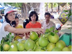 Nông dân “biến” nông nghiệp thành du lịch ruộng đồng