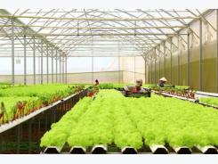 Phú Yên develops hi-tech agricultural zone