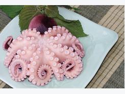 Up 8% in VN cephalopod exports to Japan