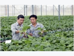 PM okays $4.4 billion package for high-tech agriculture