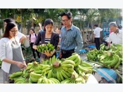 Price fluctuations trouble for farmers in Đồng Nai