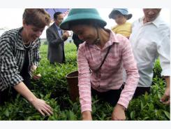 Canada supports for Vietnam's agricultural development