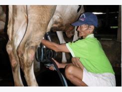 TP. Hồ Chí Minh: Lần đầu tiên hỗ trợ một hợp tác xã tới 500 triệu đồng