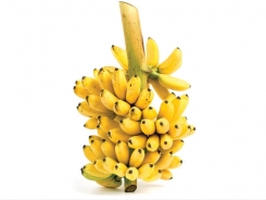 Cropped: Bananas