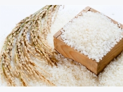 Japonica to become Việt Nam’s leading export rice