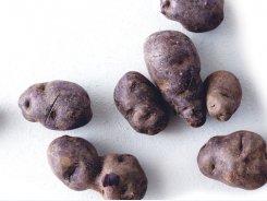 Cropped: Potatoes