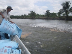 China remains biggest buyer of Vietnam tra fish