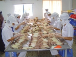 Up 40% in Vietnam cephalopod exports