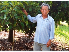 Effectiveness of VietGAP standard in agricultural production