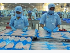 Businesses faces Tra fish material shortages