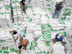 Giá gạo xuất khẩu Việt Nam đang cao hơn Thái Lan