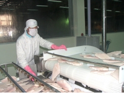 Năm 2018, Trung Quốc vẫn ăn nhiều cá tra Việt Nam