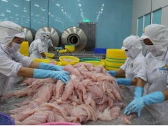 Seafood joins ‘billion club’ as Vietnam’s Jan-Feb exports top $33.6bn