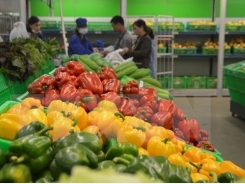 Export value of fruit and vegetables increases