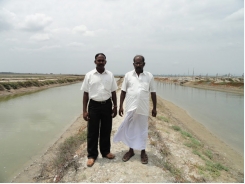 Improving shrimp farm design in flood-prone areas of India