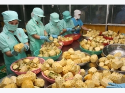 Agro-forestry-fishery exports exceed $6 bln in first two months