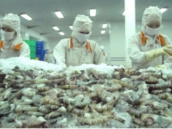 Localities urged to gear towards shrimp production targets