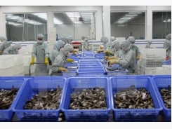 VASEP asks US to review anti-dumping duty on Vietnamese shrimp