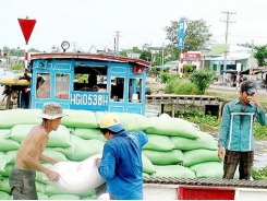 VFA proposes to solve problems in rice export to China