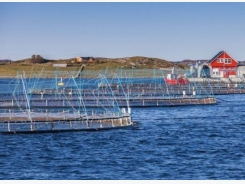 How to make the fish farming industry more climate friendly