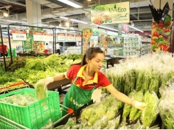 Vietnamese billionaires committed to agricultural development, helping farmers