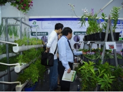 Ample opportunities in Vietnamese horticulture industry