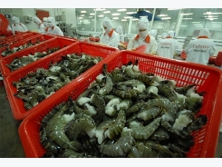 VASEP says DOC’s antidumping rate on shrimp inaccurate