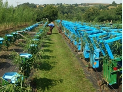 The Furniture Farmer