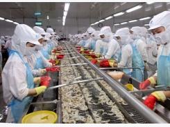 Factors help promote Vietnam shrimp exports in 2017