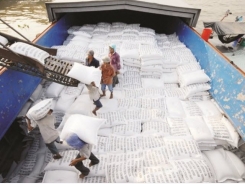 Rice export has gradually 'turned over a page'