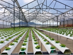 2018 export revenue from cultivated products targeted at $21bn