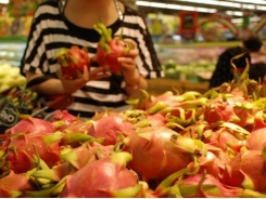 Vietnamese fruit could face trade barriers in Chinese market